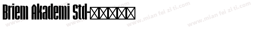 Briem Akademi Std字体转换